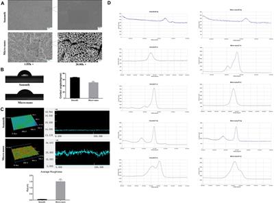 Mechanism of Exosomes Involved in Osteoimmunity Promoting Osseointegration Around Titanium Implants With Small-Scale Topography